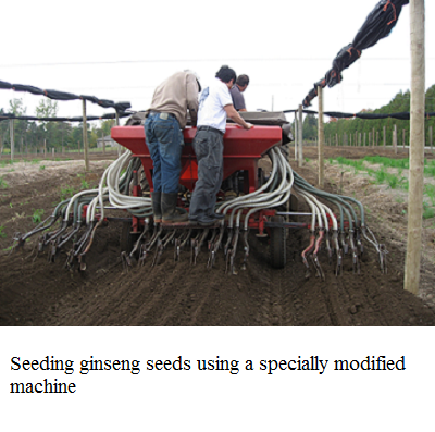 on spread seed machine e