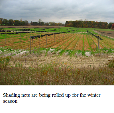 prepare for winter e