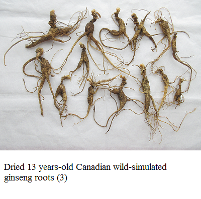 wild simulated ginseng 3 e