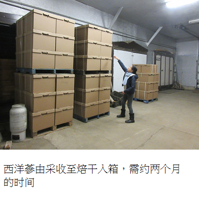 dried ginseng roots in box 1 s