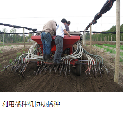 on spread seed machine s