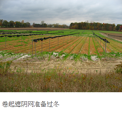 prepare for winter s